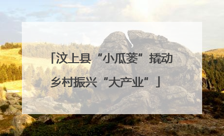 汶上县“小瓜蒌”撬动乡村振兴“大产业”