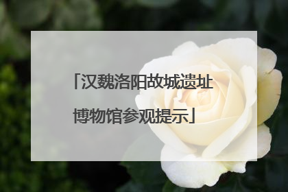 汉魏洛阳故城遗址博物馆参观提示