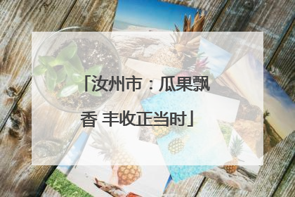 汝州市：瓜果飘香 丰收正当时