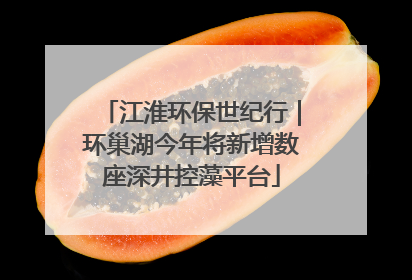 江淮环保世纪行｜环巢湖今年将新增数座深井控藻平台