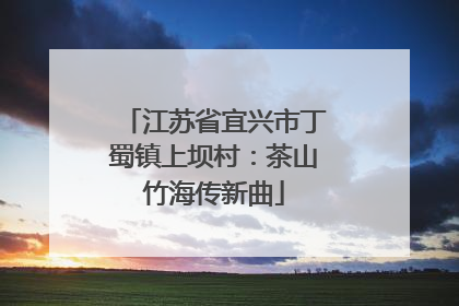 江苏省宜兴市丁蜀镇上坝村：茶山竹海传新曲