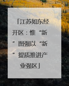 江苏如东经开区：惟“新”图强以“新”提质推进产业强区