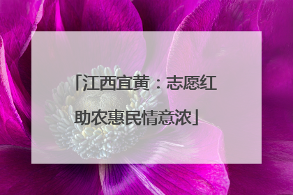 江西宜黄：志愿红助农惠民情意浓
