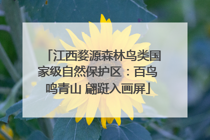 江西婺源森林鸟类国家级自然保护区：百鸟鸣青山 翩跹入画屏
