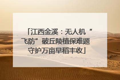 江西金溪：无人机“飞防”破丘陵植保难题 守护万亩早稻丰收