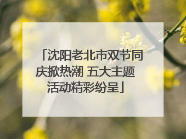 沈阳老北市双节同庆掀热潮 五大主题活动精彩纷呈