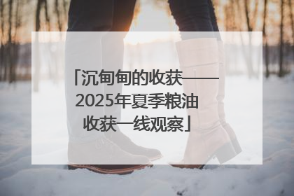 沉甸甸的收获——2025年夏季粮油收获一线观察