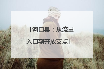 河口县：从流量入口到开放支点