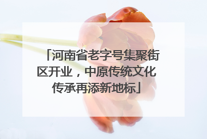 河南省老字号集聚街区开业，中原传统文化传承再添新地标
