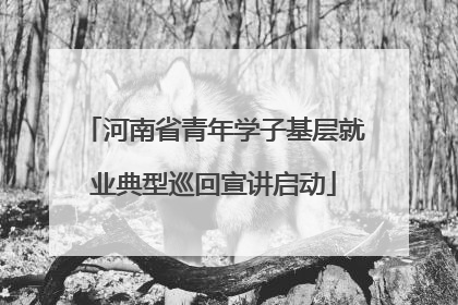 河南省青年学子基层就业典型巡回宣讲启动