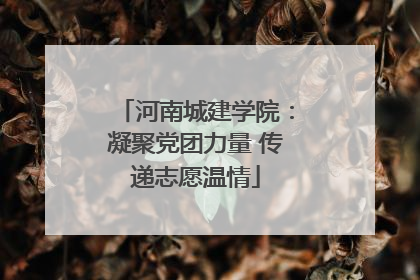 河南城建学院：凝聚党团力量 传递志愿温情