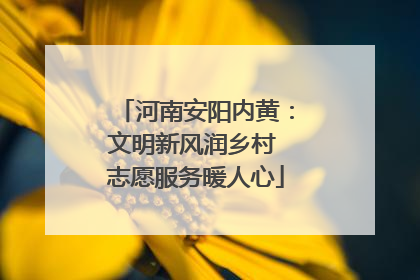 河南安阳内黄：文明新风润乡村 志愿服务暖人心