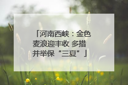 河南西峡：金色麦浪迎丰收 多措并举保“三夏”