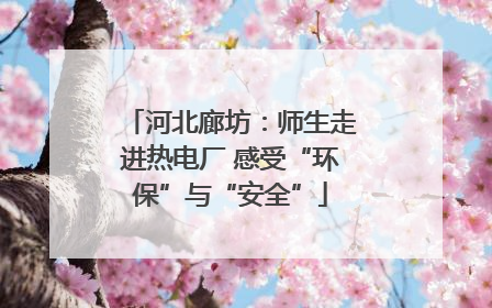 河北廊坊：师生走进热电厂 感受“环保”与“安全”