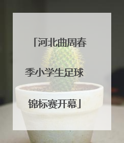 河北曲周春季小学生足球锦标赛开幕
