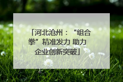 河北沧州：“组合拳”精准发力 助力企业创新突破