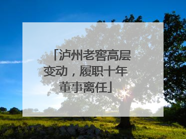 泸州老窖高层变动，履职十年董事离任