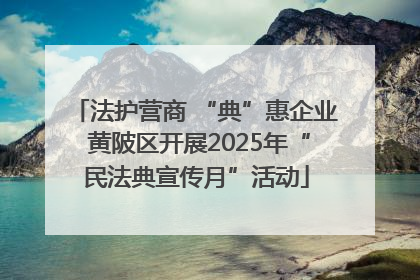 法护营商 “典”惠企业 黄陂区开展2025年“民法典宣传月”活动