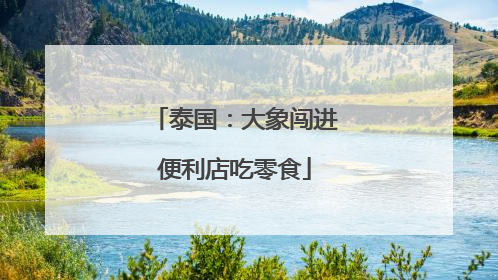 泰国：大象闯进便利店吃零食