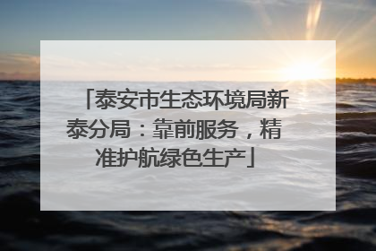 泰安市生态环境局新泰分局：靠前服务，精准护航绿色生产