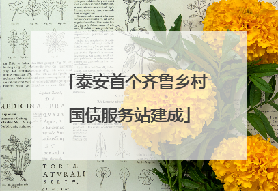 泰安首个齐鲁乡村国债服务站建成