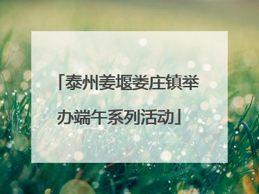 泰州姜堰娄庄镇举办端午系列活动