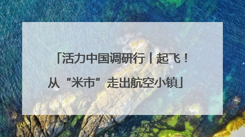 活力中国调研行丨起飞！从“米市”走出航空小镇