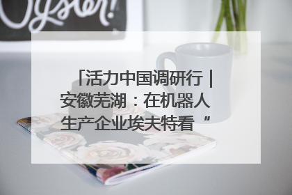 活力中国调研行｜安徽芜湖：在机器人生产企业埃夫特看“中国智造”