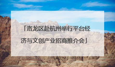 洛龙区赴杭州举行平台经济与文创产业招商推介会
