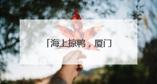 海上掠鸭，厦门端午曾这样玩