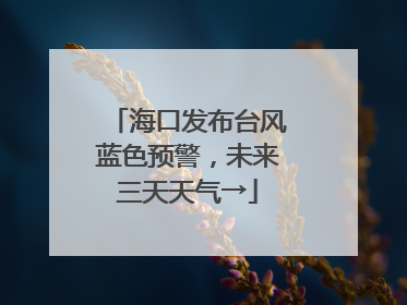 海口发布台风蓝色预警，未来三天天气→