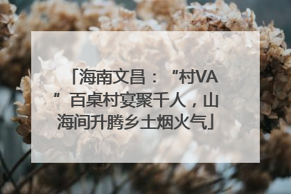 海南文昌：“村VA”百桌村宴聚千人，山海间升腾乡土烟火气