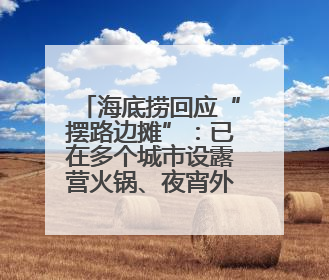 海底捞回应“摆路边摊”：已在多个城市设露营火锅、夜宵外摆等