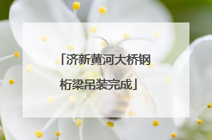 济新黄河大桥钢桁梁吊装完成