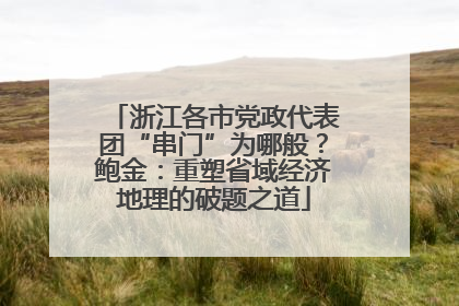 浙江各市党政代表团“串门”为哪般？鲍金：重塑省域经济地理的破题之道