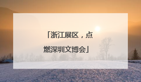 浙江展区，点燃深圳文博会
