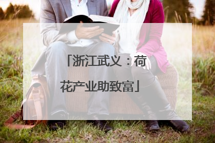 浙江武义：荷花产业助致富