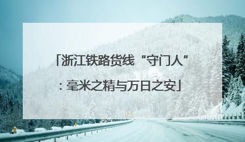 浙江铁路货线“守门人”：毫米之精与万日之安