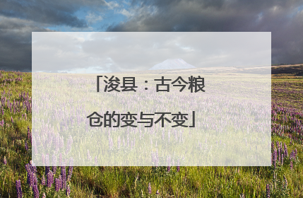 浚县：古今粮仓的变与不变