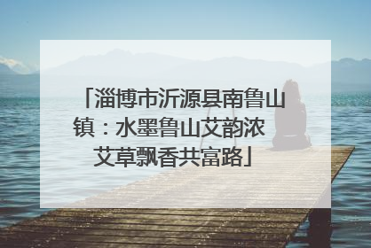 淄博市沂源县南鲁山镇：水墨鲁山艾韵浓 艾草飘香共富路