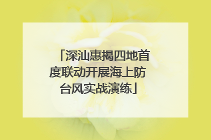 深汕惠揭四地首度联动开展海上防台风实战演练