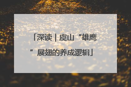 深读｜虞山“雄鹰”展翅的养成逻辑