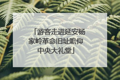 游客走进延安杨家岭革命旧址瞻仰中央大礼堂