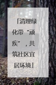 清理绿化带“顽疾”，共筑社区宜居环境