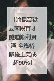 渝昆高铁云南段育才隧道顺利贯通 全线桥隧施工完成超90%