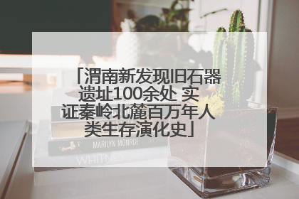 渭南新发现旧石器遗址100余处 实证秦岭北麓百万年人类生存演化史