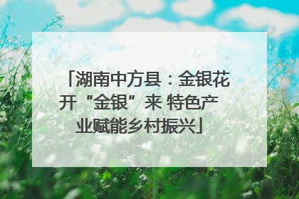 湖南中方县：金银花开“金银”来 特色产业赋能乡村振兴