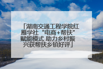 湖南交通工程学院红雁学社“电商+帮扶”赋能模式 助力乡村振兴获帮扶乡镇好评