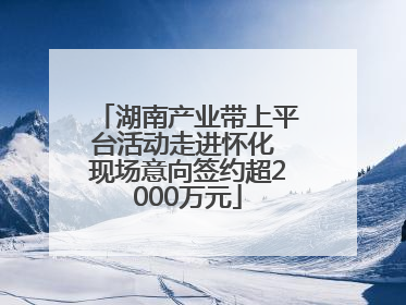 湖南产业带上平台活动走进怀化 现场意向签约超2000万元