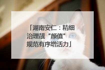 湖南安仁：精细治理靓“颜值” 规范有序增活力